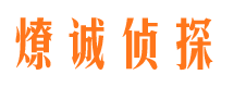 鹿泉市调查公司